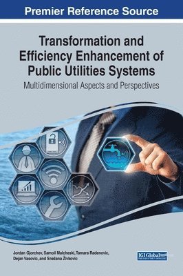 bokomslag Transformation and Efficiency Enhancement of Public Utilities Systems