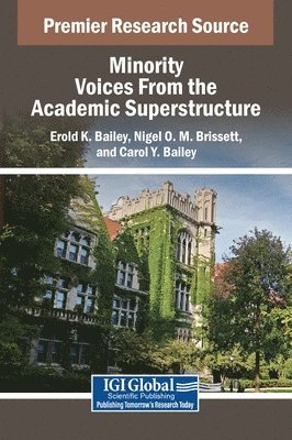 bokomslag Minority Voices From the Academic Superstructure