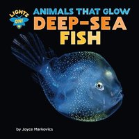 bokomslag Deep-Sea Fish