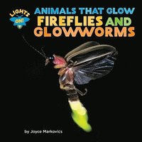 bokomslag Fireflies and Glowworms