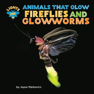 Fireflies and Glowworms 1