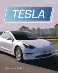 bokomslag Tesla