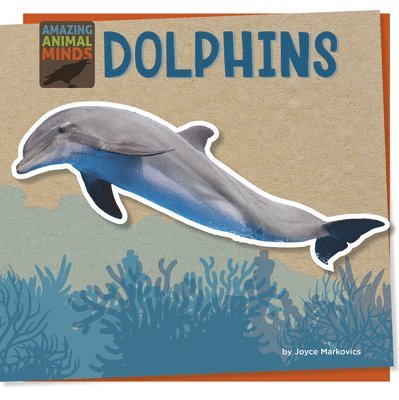 Joyce Markovics - Dolphins, Inbunden
