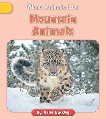 bokomslag Mountain Animals