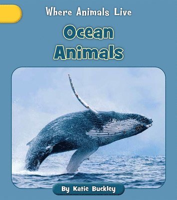 Ocean Animals 1