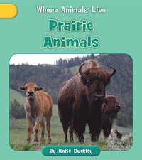 bokomslag Prairie Animals