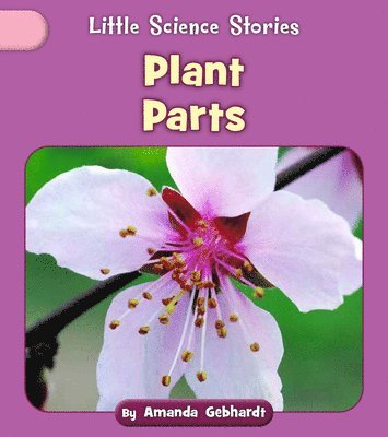 Plant Parts 1