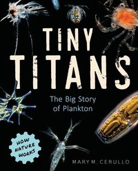 bokomslag Tiny Titans