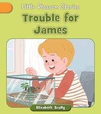 bokomslag Trouble for James
