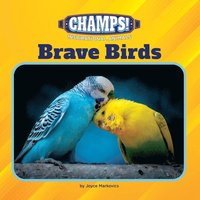 bokomslag Brave Birds