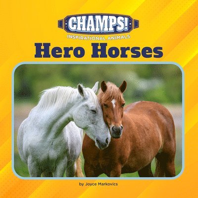 Hero Horses 1