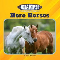 bokomslag Hero Horses