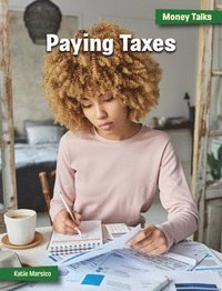 bokomslag Paying Taxes