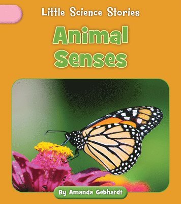 Animal Senses 1