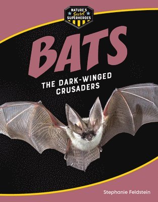 Bats: The Dark-Winged Crusaders 1