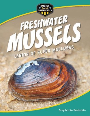 Freshwater Mussels: Legion of Super Mollusks 1