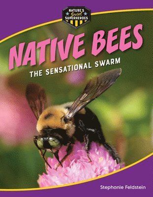 bokomslag Native Bees: The Sensational Swarm