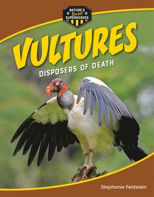 bokomslag Vultures: Disposers of Death