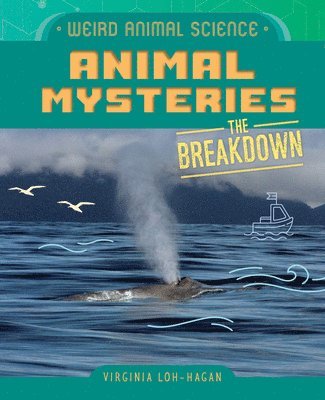 Animal Mysteries 1