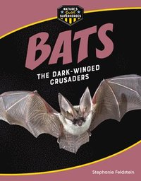 bokomslag Bats: The Dark-Winged Crusaders