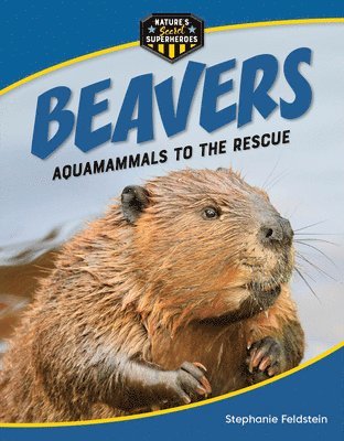 Beavers: Aquamammals to the Rescue 1