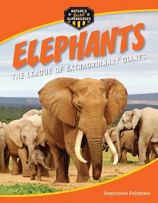 Elephants: The League of Extraordinary Giants 1