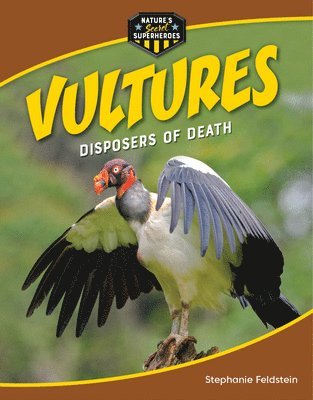 bokomslag Vultures