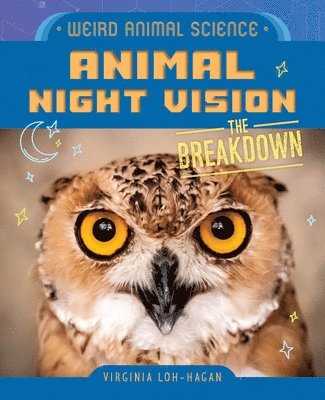 bokomslag Animal Night Vision