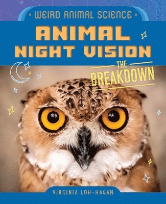 Animal Night Vision 1