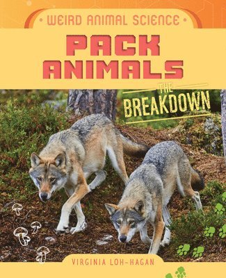 bokomslag Pack Animals