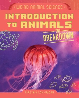 bokomslag Introduction to Animals