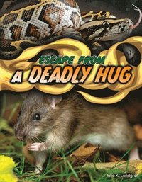 bokomslag Lundgren, J: Escape from a Deadly Hug