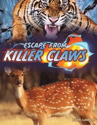 bokomslag Lundgren, J: Escape from Killer Claws