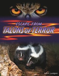 bokomslag Lundgren, J: Escape from Talons of Terror