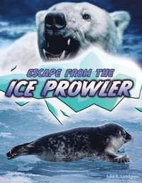 bokomslag Lundgren, J: Escape from the Ice Prowler