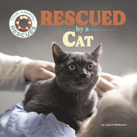 bokomslag Markovics, J: Rescued by a Cat