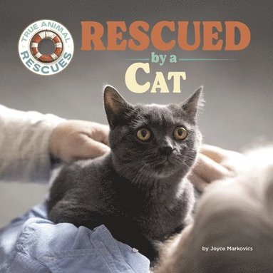 bokomslag Markovics, J: Rescued by a Cat