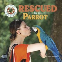 bokomslag Markovics, J: Rescued by a Parrot