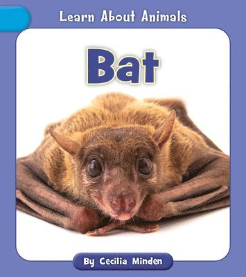 bokomslag Bat
