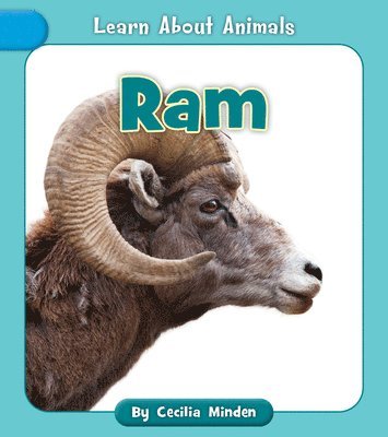 bokomslag RAM