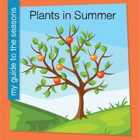 bokomslag Plants in Summer