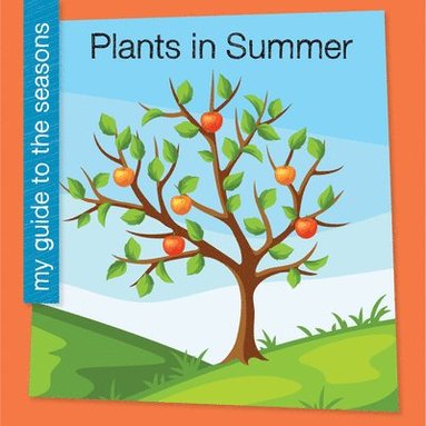 bokomslag Plants in Summer