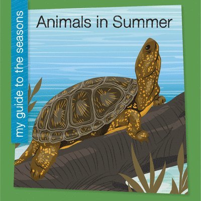 Animals in Summer