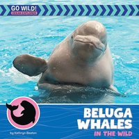 bokomslag Beluga Whales in the Wild