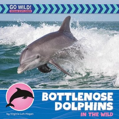 bokomslag Bottlenose Dolphins in the Wild