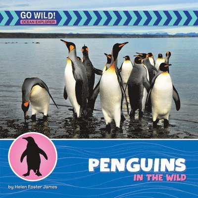 Penguins in the Wild