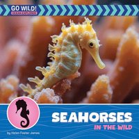 bokomslag Seahorses in the Wild