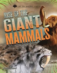bokomslag Rise of the Giant Mammals