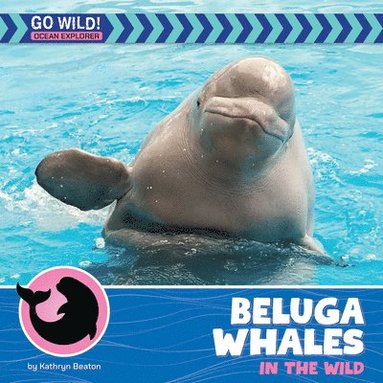 bokomslag Beluga Whales in the Wild