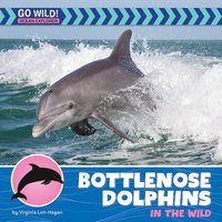 bokomslag Bottlenose Dolphins in the Wild